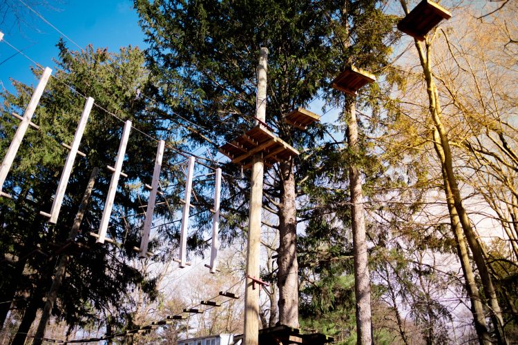 Obstacle Course Ready for Use